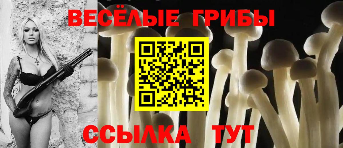 Галлюциногенные грибы мицелий Саки